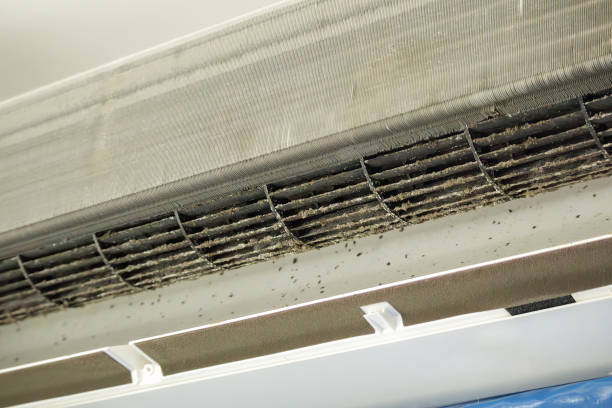 Best Dryer Vent Cleaning Services  in Pahokee, FL